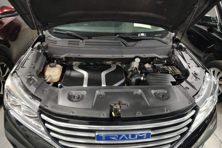 Used TRAUM SEEK 5 2018 1.5T Manual LingShang Edition Engine Bay