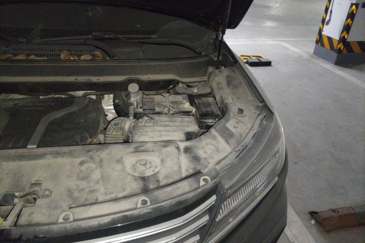 Used TRAUM SEEK 5 2018 1.5T Manual Lingzhi Edition Engine Bay Left