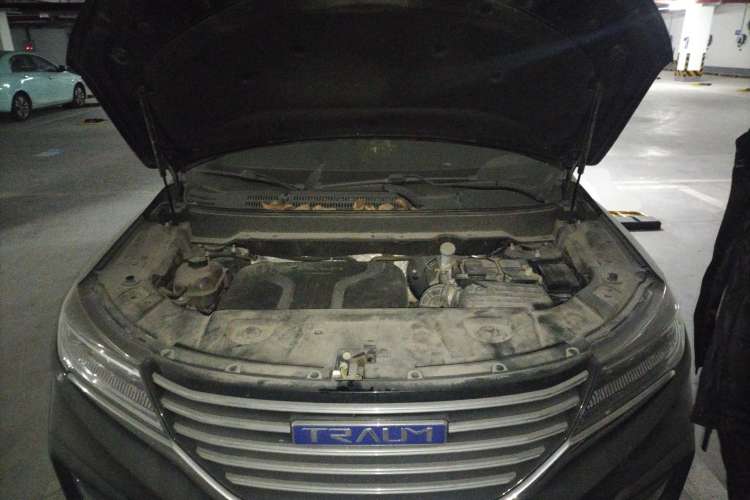 Used TRAUM SEEK 5 2018 1.5T Manual Lingzhi Edition Engine Bay