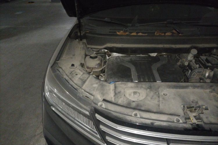 Used TRAUM SEEK 5 2018 1.5T Manual Lingzhi Edition Engine Bay Right
