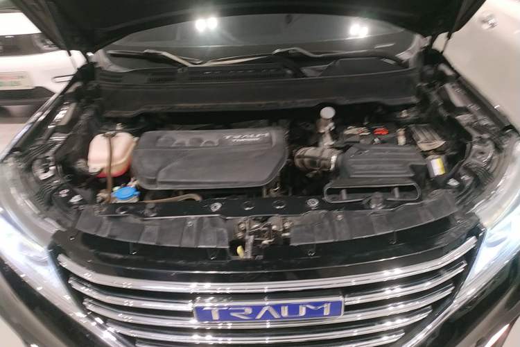 Used TRAUM SEEK 5 2018 1.5T Automatic LingShang Edition Engine Bay