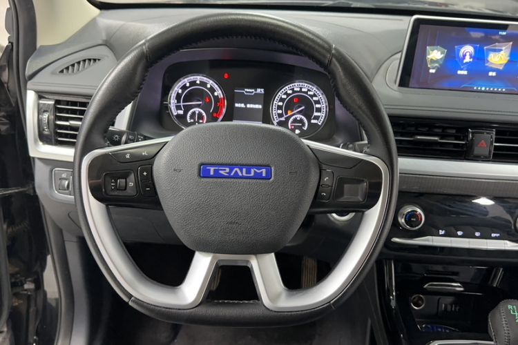 Used TRAUM SEEK 5 2018 1.5T Manual LingShang Edition Steering Wheel