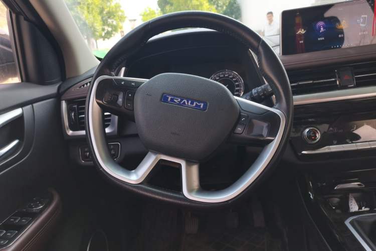 Used TRAUM SEEK 5 2018 1.5T Manual Lingzhi Edition Steering Wheel