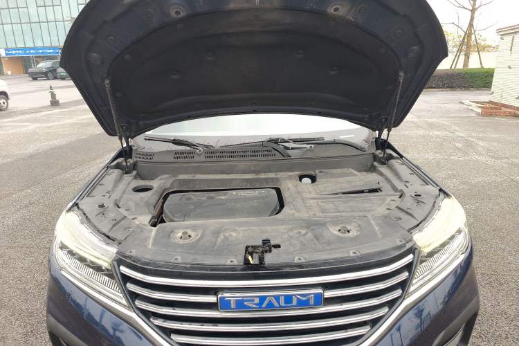 Used TRAUM SEEK 5 2018 1.5T Automatic Lingzhi Edition Engine Bay