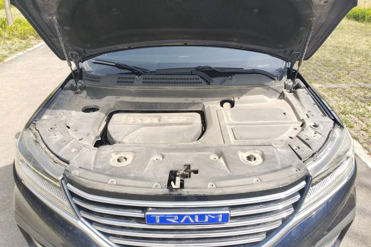 Used TRAUM SEEK 5 2018 1.5T Automatic Lingzhi Edition Engine Bay