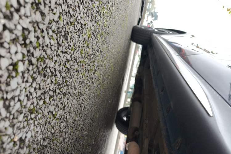 Used TRAUM SEEK 5 2018 1.5T Automatic Lingzhi Edition Left Side Sill