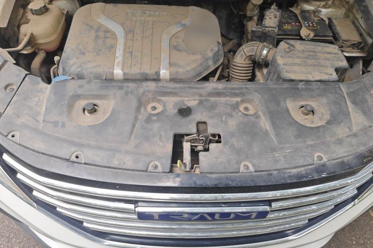 Used TRAUM SEEK 5 2018 1.5T Manual Lingzhi Edition Engine Bay