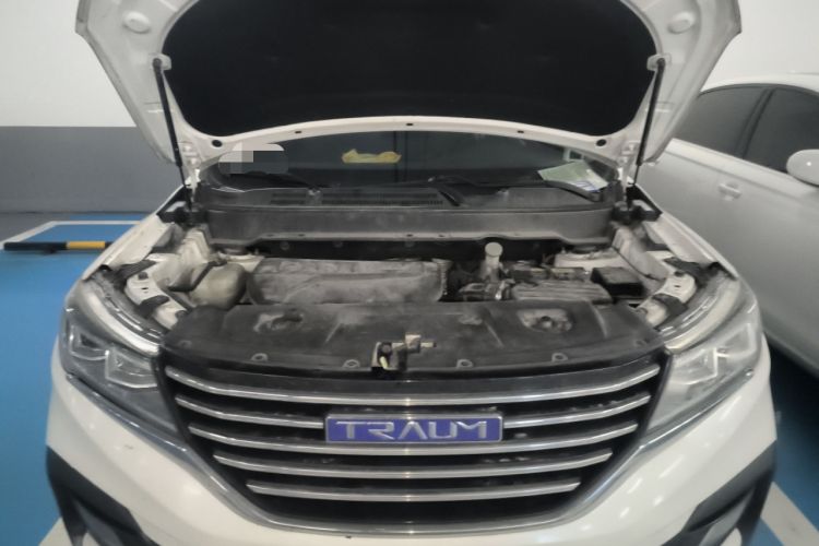 Used TRAUM SEEK 5 2018 1.5T Automatic LingShang Edition Engine Bay