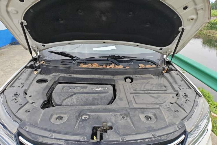 Used TRAUM SEEK 5 2018 1.5T Automatic Lingyao Edition Engine Bay
