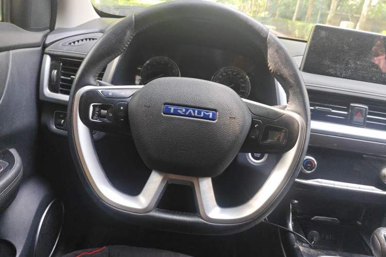 Used TRAUM SEEK 5 2018 1.5T Manual Lingzhi Edition Steering Wheel