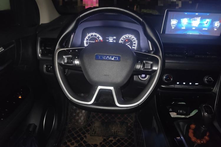 Used TRAUM SEEK 5 2018 1.5T Manual LingShang Edition Steering Wheel