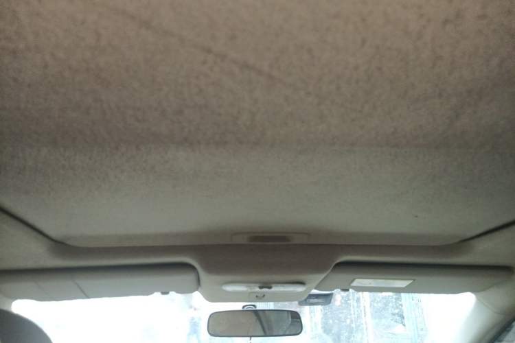 Used Venucia D50 2012 1.6L Automatic Prestige Edition Headliner