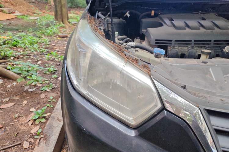 Used Venucia D50 2012 1.6L Manual Comfort Edition Right Front Headlight