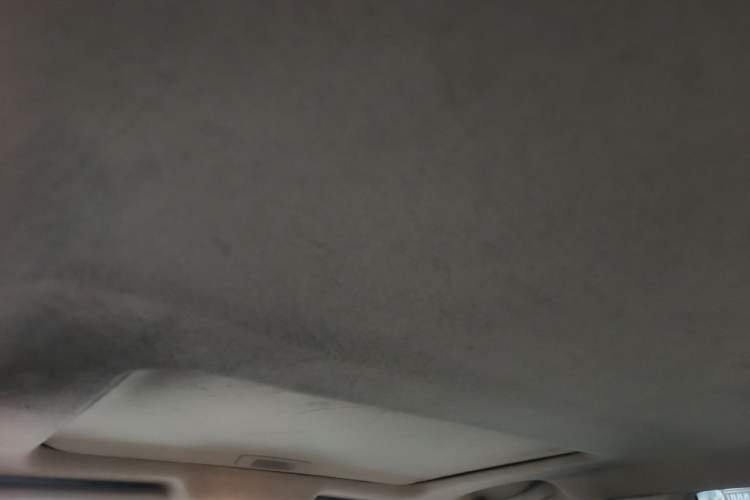 Used Venucia D50 2013 1.6L Manual Luxury Edition Headliner