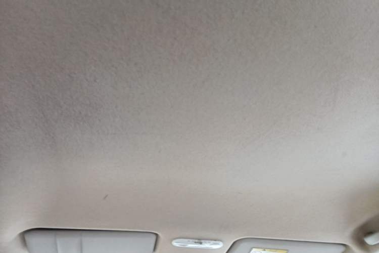 Used Venucia D50 2013 1.6L Automatic Fashion Edition Headliner