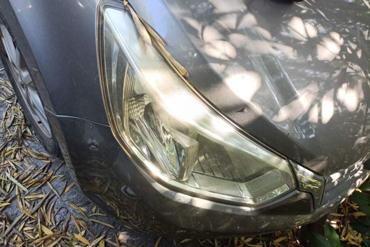 Used Venucia D50 2013 1.6L Manual Fashion Edition Right Front Headlight