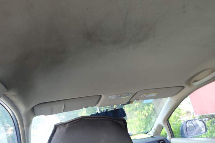 Used Venucia D50 2013 1.6L Automatic Fashion Edition Headliner