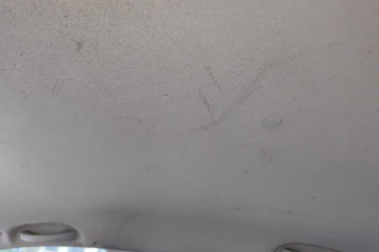 Used Venucia D50 2013 1.6L Manual Fashion Edition Headliner