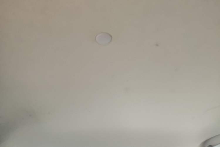 Used Venucia D50 2013 1.6L Automatic Fashion Edition Headliner