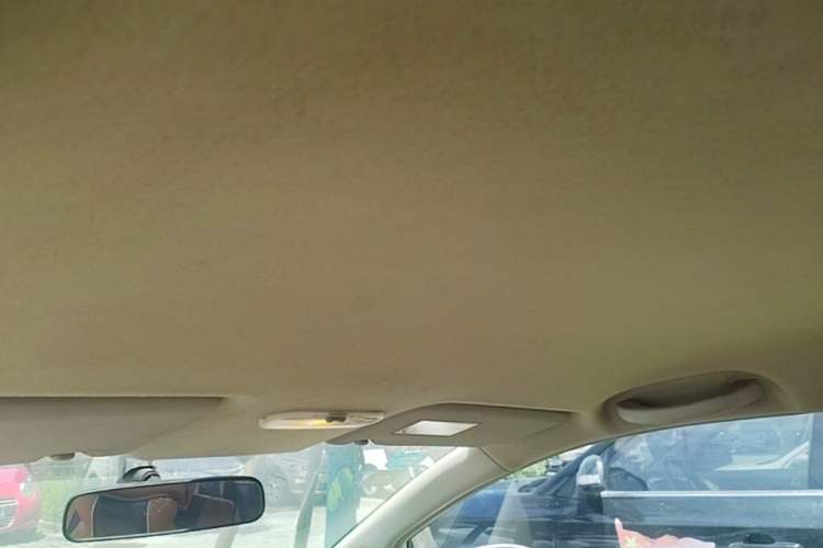 Used Venucia D50 2013 1.6L Manual Fashion Edition Headliner