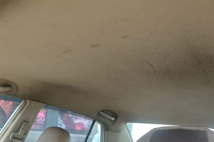 Used Venucia D50 2014 1.6L Automatic Splendid Edition Headliner
