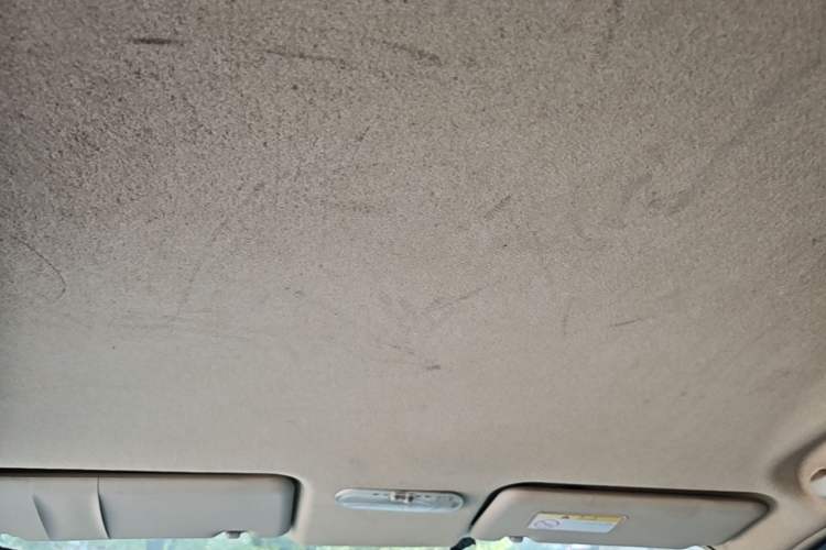 Used Venucia D50 2014 1.6L Manual Splendid Edition Headliner