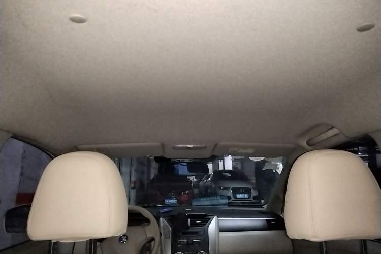 Used Venucia D50 2015 1.6L Automatic Fashion Edition Headliner