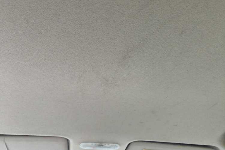 Used Venucia D50 2015 1.6L Manual Fashion Edition Headliner