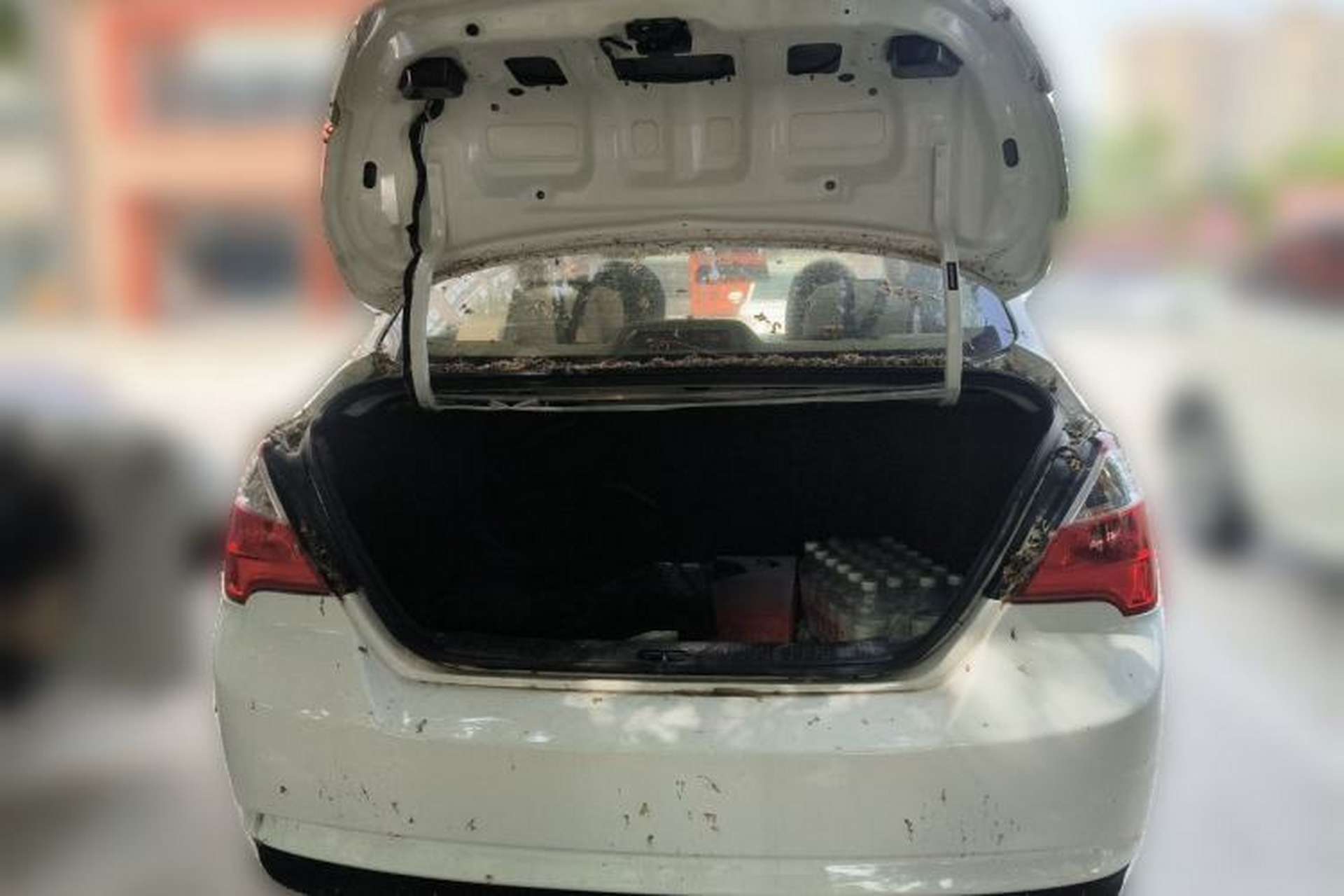 Used Venucia D50 2015 1.6L Manual Fashion Edition Trunk