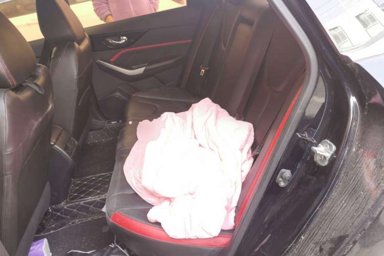 Used Venucia D60 2018 1.6L CVT Smart Connect Elite Edition Left Rear Seat