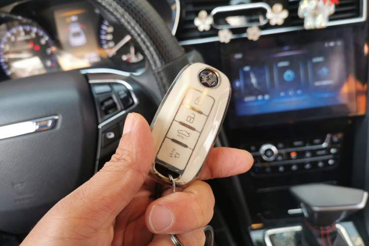 Used Venucia D60 2018 1.6L CVT Smart Connect Elite Edition Vehicle Key