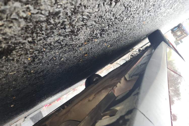 Used Venucia D60 2018 1.6L CVT Smart Connect Elite Edition Chassis Rear Left