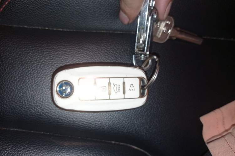 Used Venucia D60 2018 1.6L Manual Smart Connect Elite Edition Vehicle Key