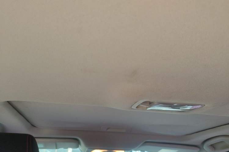 Used Venucia D60 2018 1.6L CVT Smart Connect Elite Edition Headliner