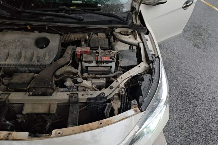 Used Venucia D60 2018 1.6L CVT Smart Connect Elite Edition Engine Bay Left