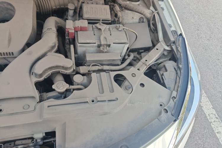 Used Venucia D60 2018 1.6L CVT Smart Connect Elite Edition Engine Bay Left