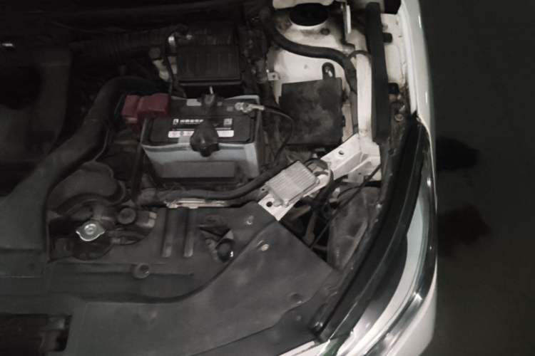 Used Venucia D60 2018 1.6L CVT Smart Connect Elite Edition Engine Bay Left