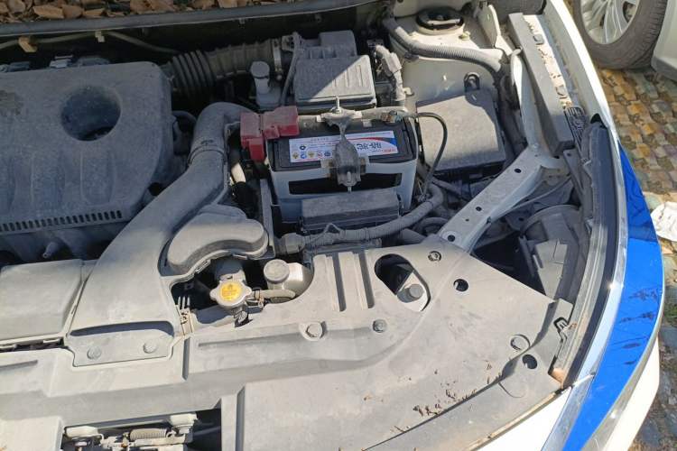 Used Venucia D60 2018 1.6L CVT Smart Connect Elite Edition Engine Bay Left
