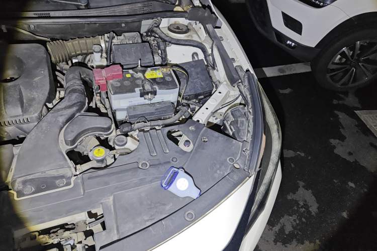 Used Venucia D60 2018 1.6L CVT Smart Connect Elite Edition Engine Bay Left