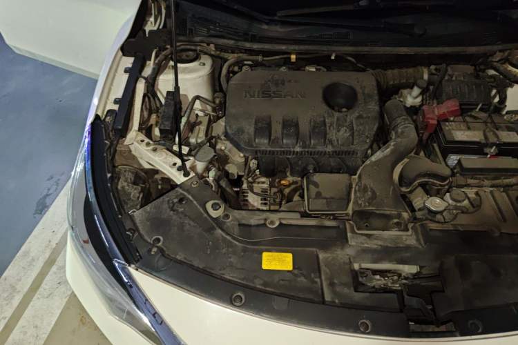 Used Venucia D60 2018 1.6L CVT Smart Connect Elite Edition Engine Bay Right