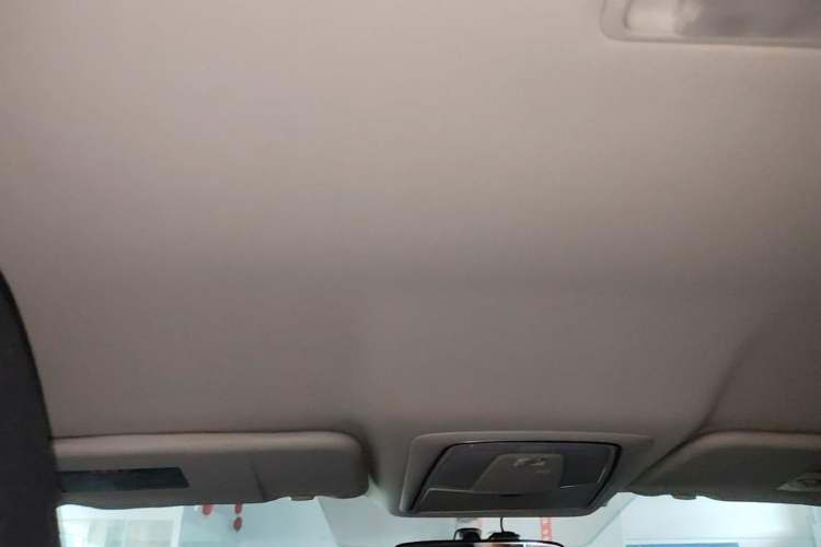 Used Venucia D60 2018 1.6L CVT Comfort Edition Headliner