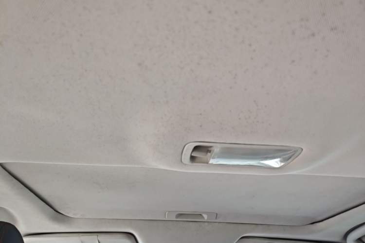 Used Venucia D60 2018 1.6L CVT Smart Connect Elite Edition Headliner
