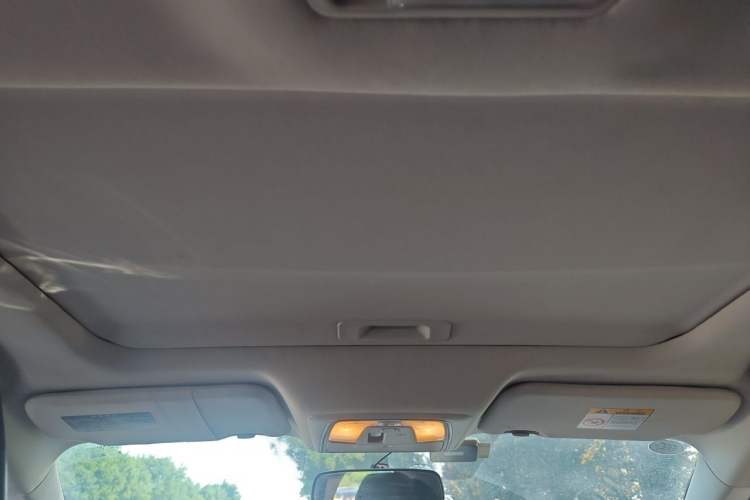 Used Venucia D60 2018 1.6L CVT Smart Connect Elite Edition Headliner