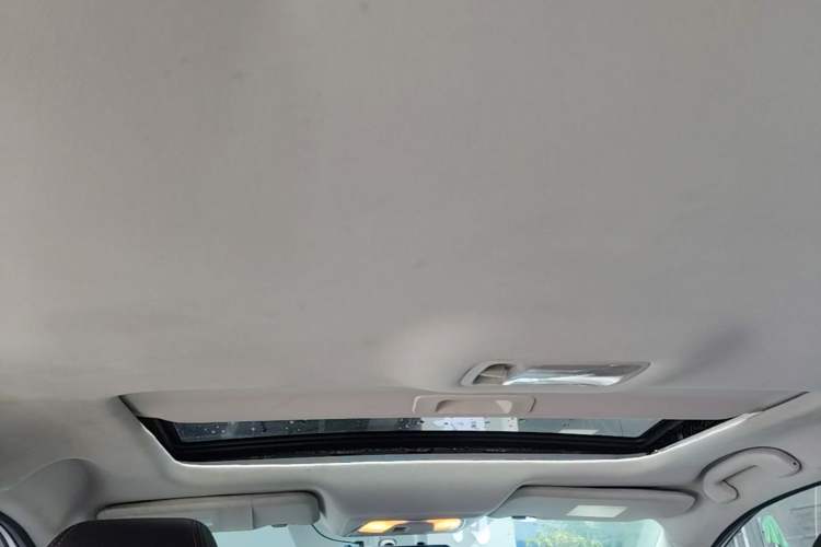 Used Venucia D60 2018 1.6L CVT Smart Connect Elite Edition Headliner