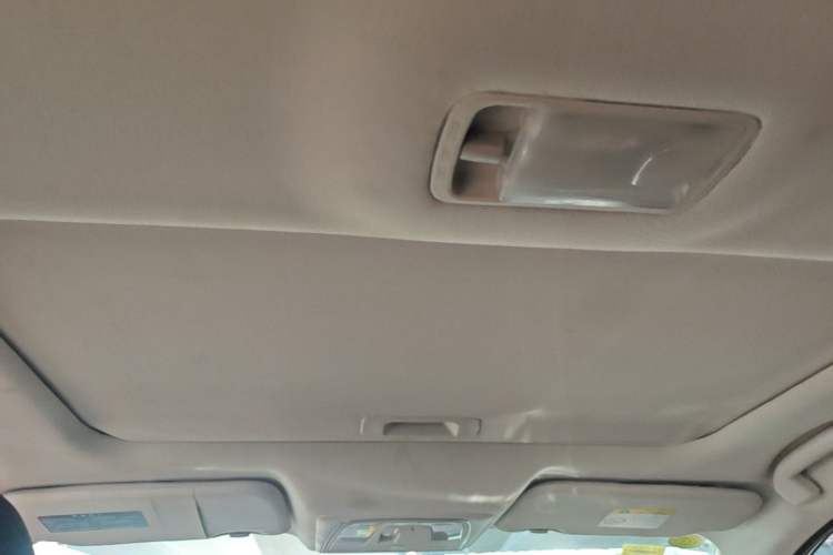 Used Venucia D60 2018 1.6L CVT Smart Connect Elite Edition Headliner