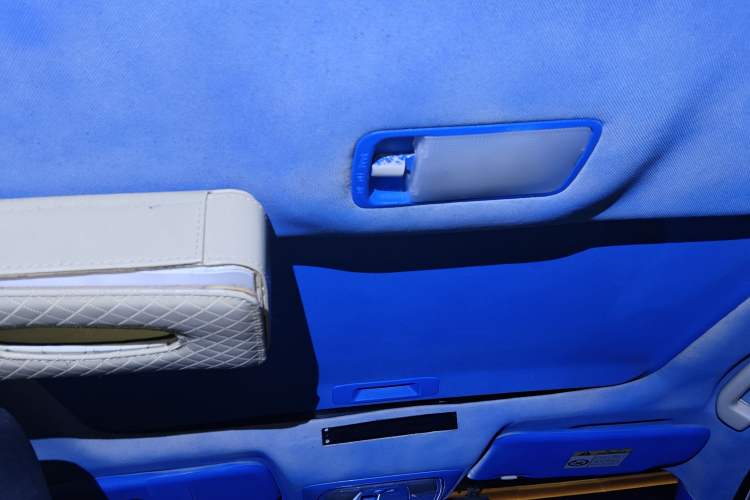 Used Venucia D60 2018 1.6L CVT Smart Connect Elite Edition Headliner