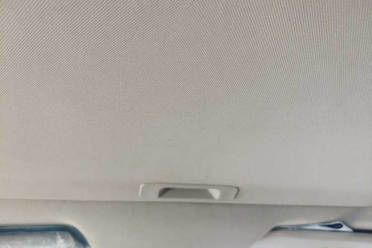 Used Venucia D60 2018 1.6L CVT Smart Connect Elite Edition Headliner