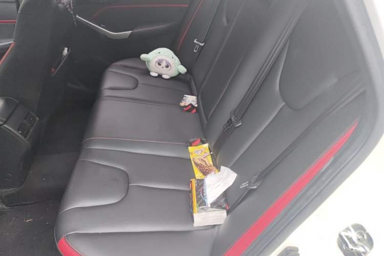 Used Venucia D60 2018 1.6L CVT Smart Connect Elite Edition Left Rear Seat