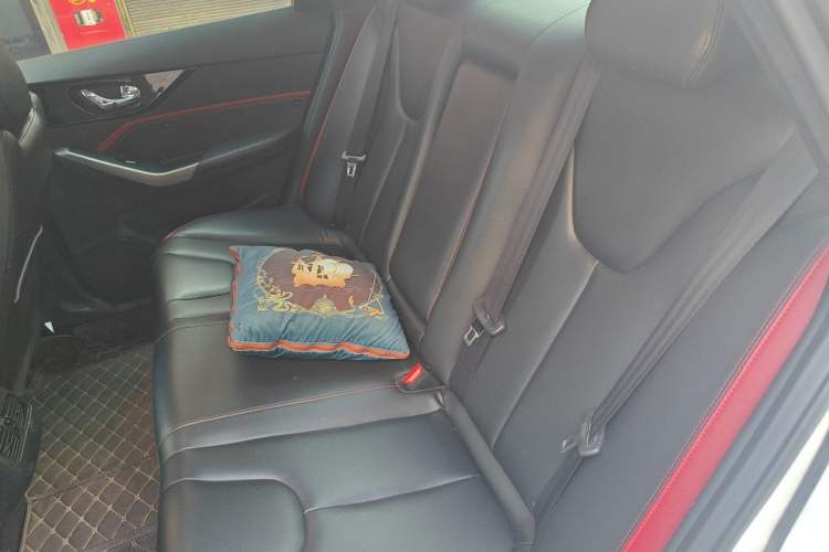 Used Venucia D60 2018 1.6L CVT Smart Connect Elite Edition Left Rear Seat