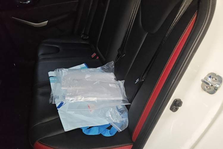 Used Venucia D60 2018 1.6L CVT Smart Connect Elite Edition Left Rear Seat